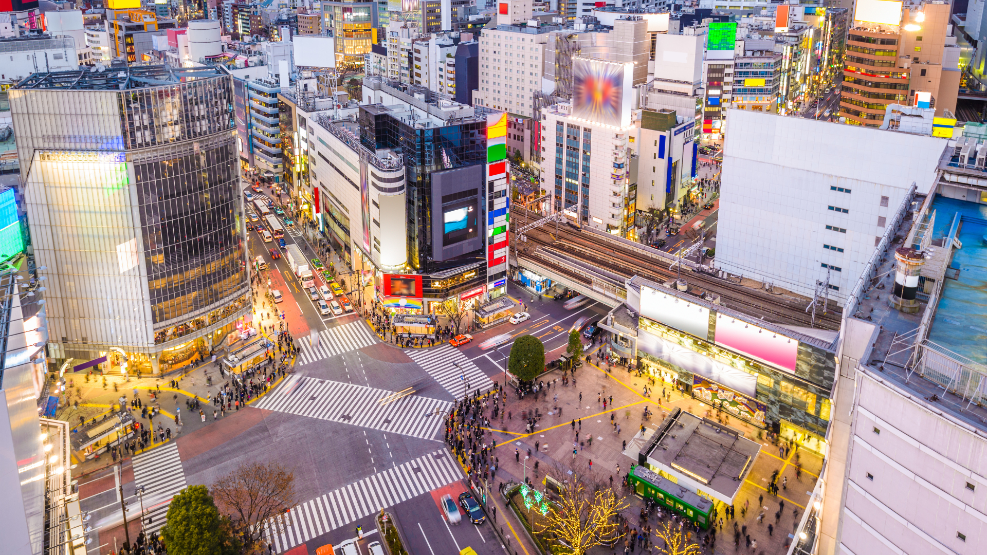地域とのつながりを表すイメージ